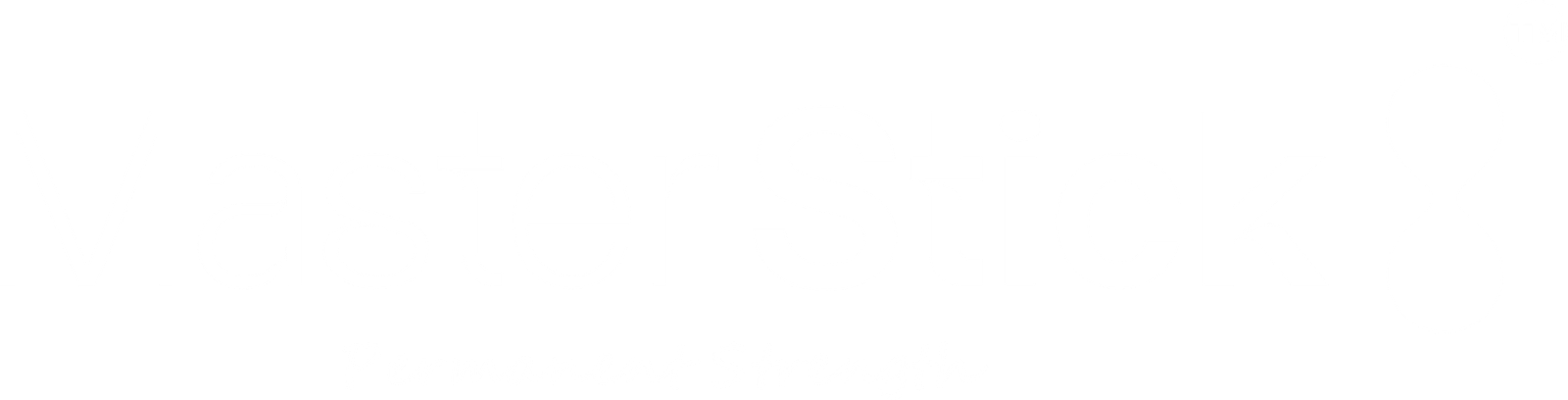 Master Stick Adhesive